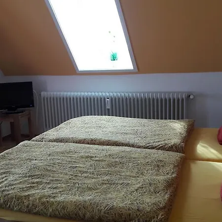 Altes Farmhaus Und 3* 利嫩