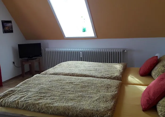 Altes Farmhaus Und 3* Lienen